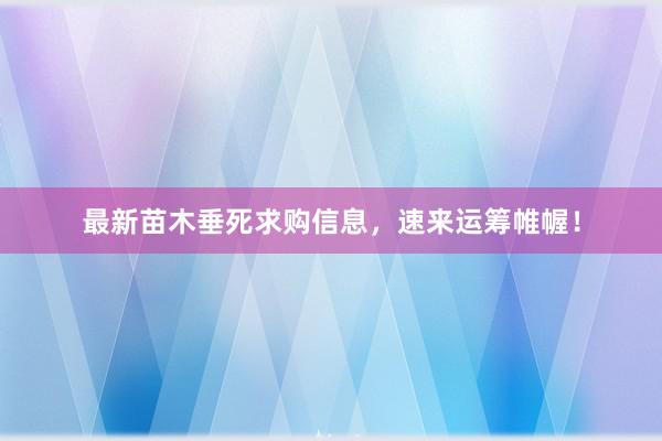 最新苗木垂死求购信息，速来运筹帷幄！
