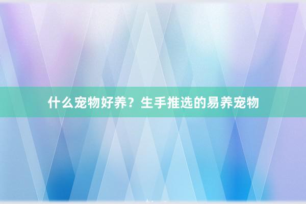 什么宠物好养?生手推选的易养宠物
